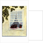 Pam's Cat by Ditz Ditz