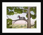 The Tree Whippet by Ditz Ditz