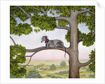 The Tree Whippet by Ditz Ditz
