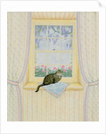 Wisteria Cat by Ditz Ditz