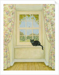 The Window Cat by Ditz Ditz