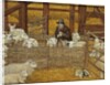 Barn-sheep by Ditz Ditz