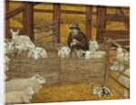 Barn-sheep by Ditz Ditz