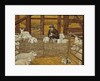 Barn-sheep by Ditz Ditz