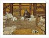 Barn-sheep by Ditz Ditz