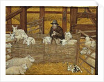 Barn-sheep by Ditz Ditz