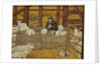 Barn-sheep by Ditz Ditz