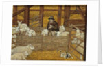 Barn-sheep by Ditz Ditz