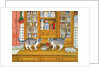 Dresser Cats by Ditz Ditz