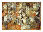 Cat-Spread by Ditz Ditz