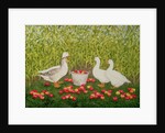 Sweetcorn-Geese by Ditz Ditz