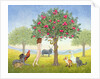 An Apple a Day. Triptych Part One by Ditz Ditz