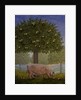 Right Hand Orchard Pig by Ditz Ditz