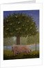 Right Hand Orchard Pig by Ditz Ditz