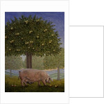 Right Hand Orchard Pig by Ditz Ditz