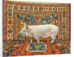 Singleton Carpet Pig by Ditz Ditz