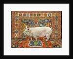 Singleton Carpet Pig by Ditz Ditz