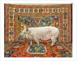 Singleton Carpet Pig by Ditz Ditz