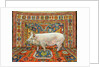 Singleton Carpet Pig by Ditz Ditz