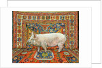 Singleton Carpet Pig by Ditz Ditz