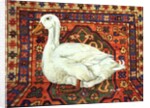 Aylesbury Carpet Drake by Ditz Ditz