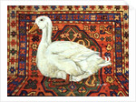Aylesbury Carpet Drake by Ditz Ditz
