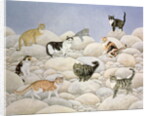 Lynn Valley Cats by Ditz Ditz