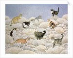 Lynn Valley Cats by Ditz Ditz