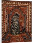 The Carpet-Cat by Ditz Ditz