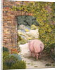 The Convent Garden Pig by Ditz Ditz