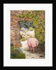 The Convent Garden Pig by Ditz Ditz
