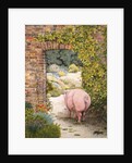 The Convent Garden Pig by Ditz Ditz