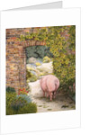 The Convent Garden Pig by Ditz Ditz