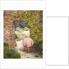 The Convent Garden Pig by Ditz Ditz