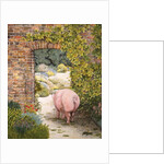 The Convent Garden Pig by Ditz Ditz