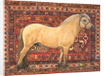 The Carpet Horse by Ditz Ditz