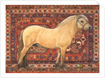 The Carpet Horse by Ditz Ditz
