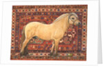 The Carpet Horse by Ditz Ditz