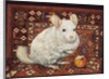The Carpet-Chinchilla, 1992 by Ditz Ditz