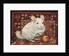 The Carpet-Chinchilla, 1992 by Ditz Ditz