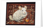 The Carpet-Chinchilla, 1992 by Ditz Ditz