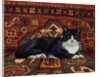 Second Carpet-Cat-Patch, 1992 by Ditz Ditz