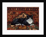 Second Carpet-Cat-Patch, 1992 by Ditz Ditz