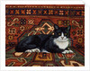 Second Carpet-Cat-Patch, 1992 by Ditz Ditz