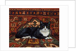 Second Carpet-Cat-Patch, 1992 by Ditz Ditz