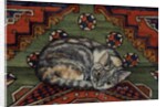Third Carpet-Cat-Patch by Ditz Ditz
