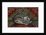 Third Carpet-Cat-Patch by Ditz Ditz
