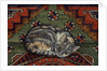 Third Carpet-Cat-Patch by Ditz Ditz