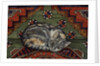 Third Carpet-Cat-Patch by Ditz Ditz