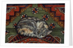 Third Carpet-Cat-Patch by Ditz Ditz